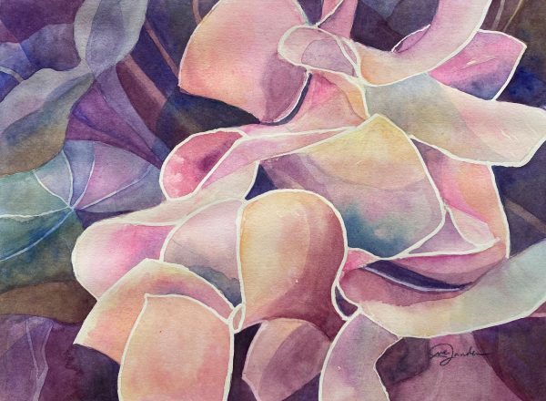 cyclamen watercolor