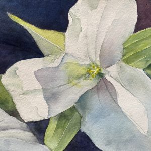 Trillium